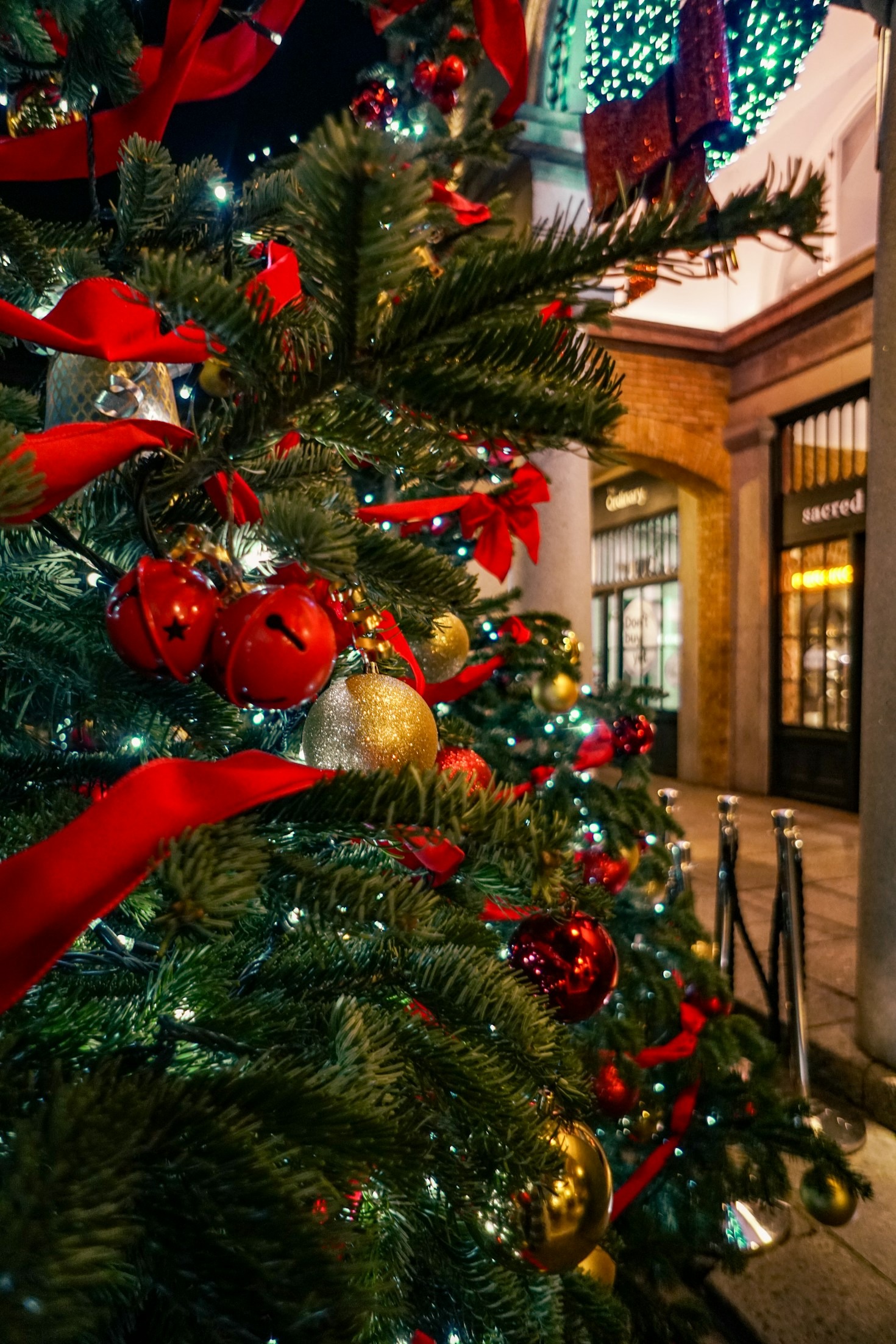 Cherry Travel & Tours: Where Dreams Begin